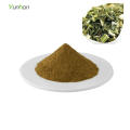 Bulk price motherwort herb extract motherwort extract powder